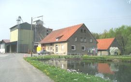 10domteichm 10domteichm