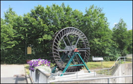 muehlenrad